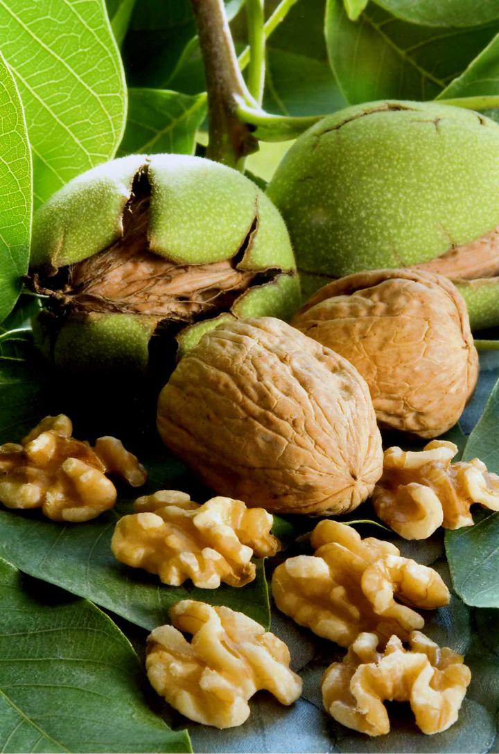New Findings Support the Benefits of Eating Walnuts on Overall Health
