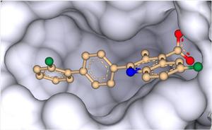 DHODH inhibitor brequinar