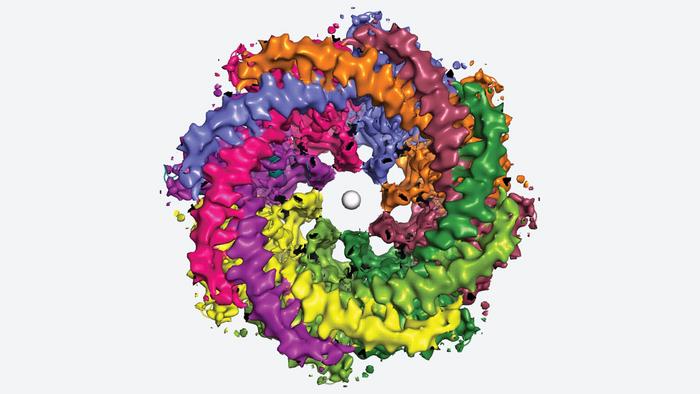 Human CALHM1 Channel