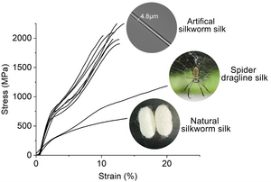 Stress-strain curves of representative artificial and natural silks