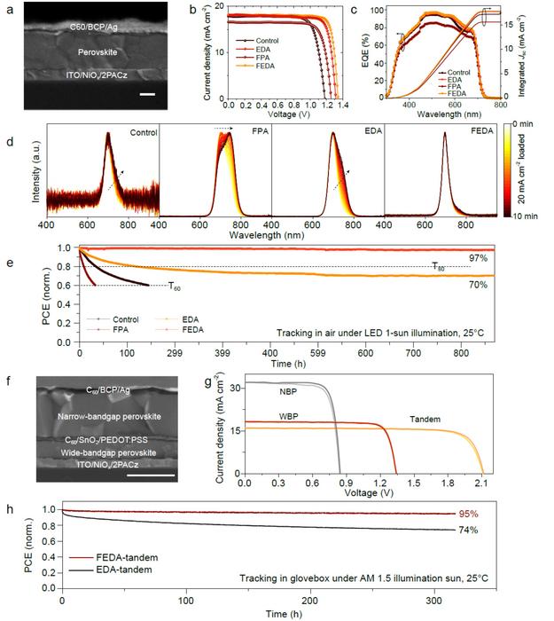 Figure 4 Device structure and performance of single junction and tandem solar cells