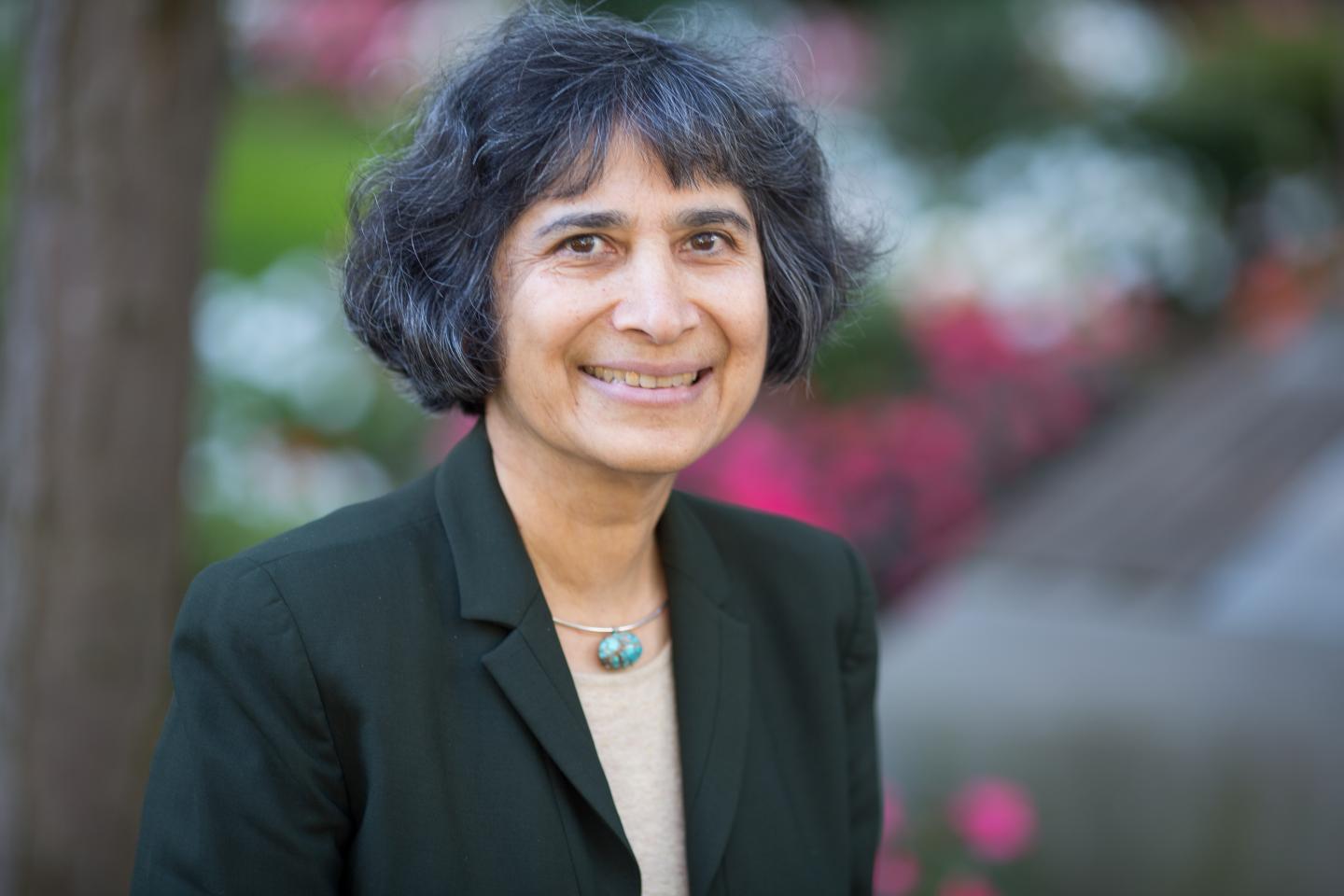 Yasmin Mossavar-Rahmani, Albert Einstein College of Medicine