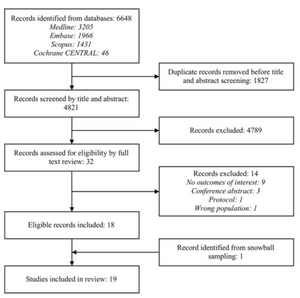 PRISMA flow diagram shows identification, screening, and inclusion of studies