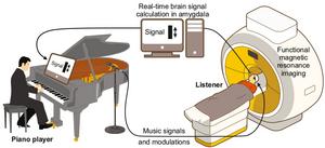 Experimental set-up