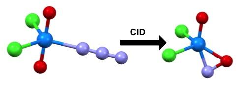 Uranium-Nitrosyl Molecule