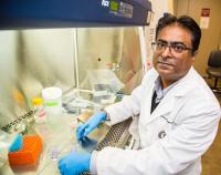 Spinal Muscular Atrophy Researcher