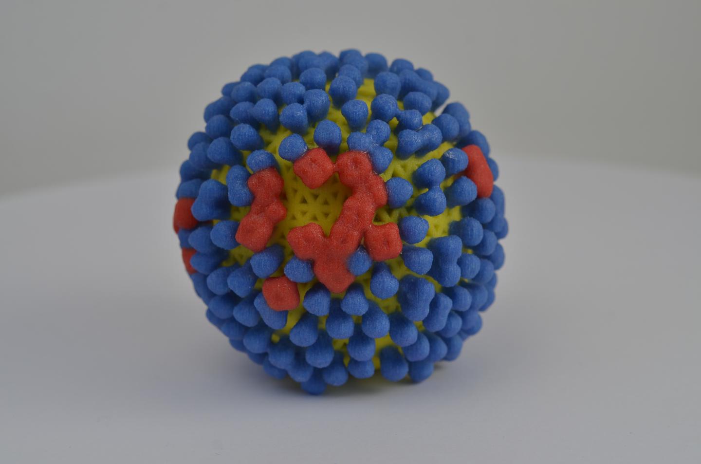 3D Print of Influenza Virus