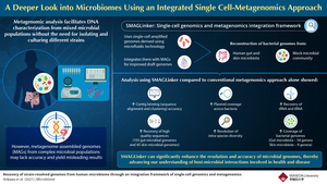 New Technique Combines Single-Cell and Metagenomic Analyses