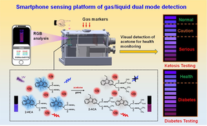 Novel Smartphone Sensing Platform Gave Early Warning For Lung Cancer and Ketosis/Diabetes