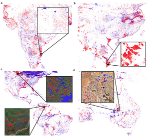 Around the world dataset-comparison 900.jpg