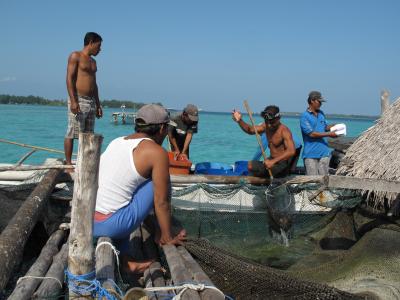 Fisherman in Karimunjawa National Park