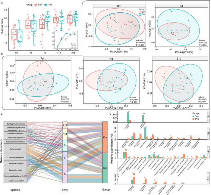 Microbial diversity and species-level genome bins (SGBs) features of piglets’ fecal metagenome dataset