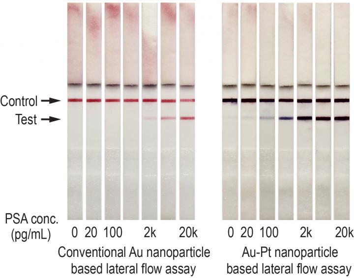 Gold Nanoparticle PSA Test Strips