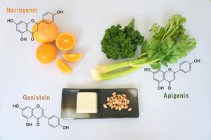 Understanding how our bodies metabolize different flavonoids in our diets