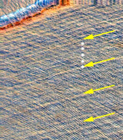 Enamel Incremental Periodicity