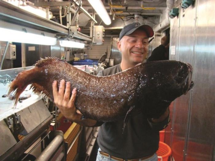 Dr. Tracey Sutton with Slickhead Fish