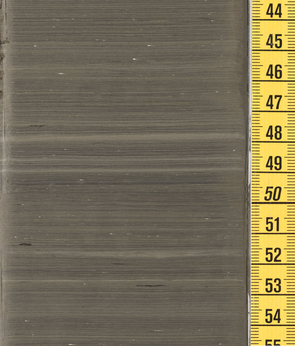 Annually layered sediments from Lake Suigetsu