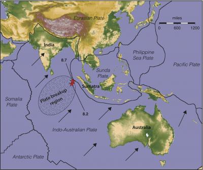 Indian Ocean Quakes Part of Plate Breakup
