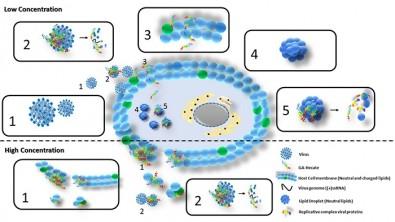 The Compound GA-Hecate