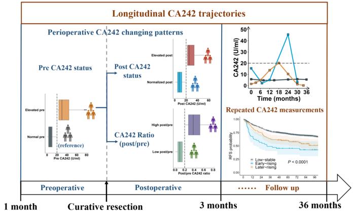 Perioperative CA242 changing patterns and longitudinal CA242 trajectories