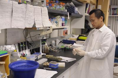 Working on a Therapy for Muscular Dystrophy