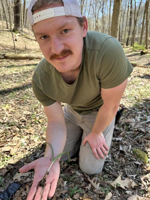 Researcher of forest management