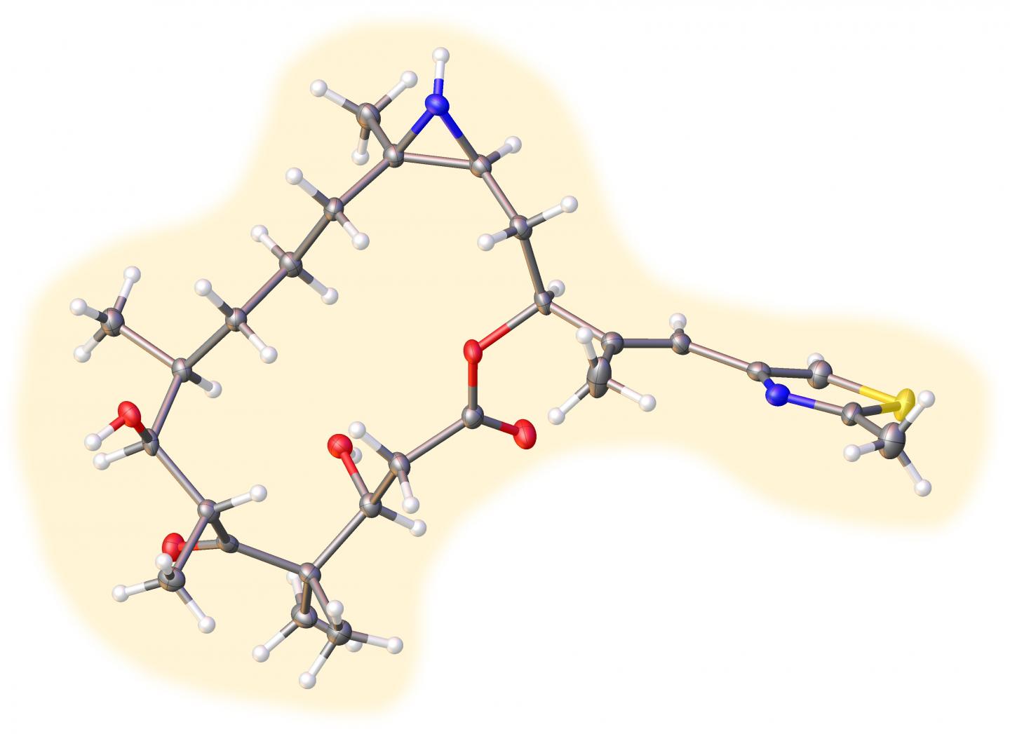 Structure of One of the Analogs of Epothilone B