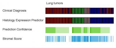 RNA Diagnostic Test from Paraffin Improves Lung Cancer Diagnosis Over Routine Microscopic Evaluation