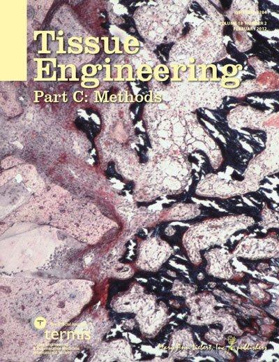 Tissue Engineering, Part C: Methods