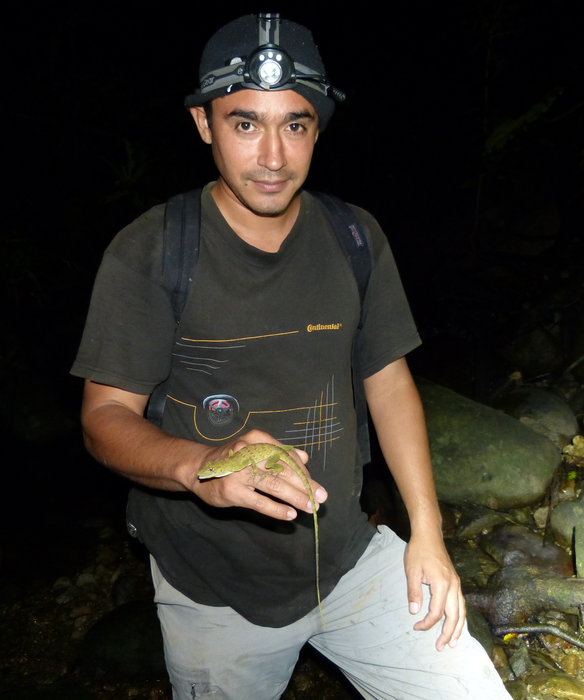 Abel Batista posing with an individual of Dactyloa frenata
