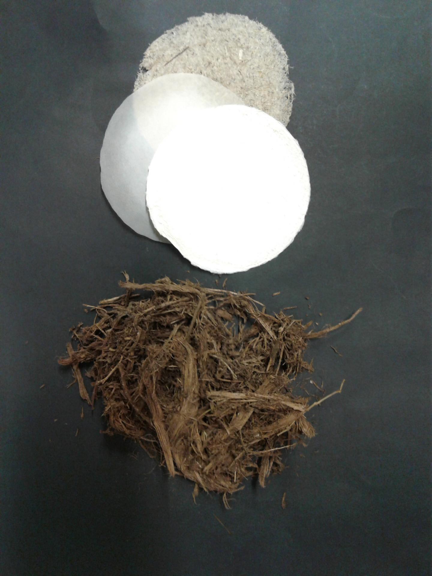 Elephant and cow manure for making paper sust EurekAlert!