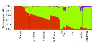 Genetic Structure of Sherpa and Tibetans Relative to Other East Asians