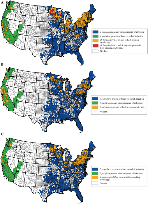 Reported county-level distribution of bacterial pathogens B. burgdorferi, B. mayonii, B. miyamotoi, and A. phagocytophilum