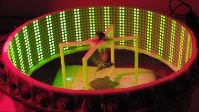 Using Cyborg Moths to Understand How Moths Fly