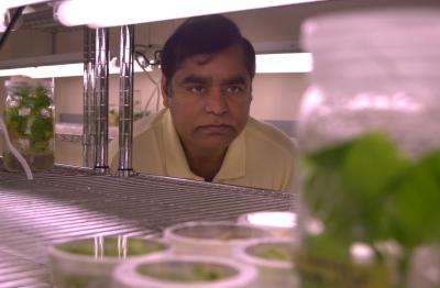 Henry Daniell, University of Central Florida