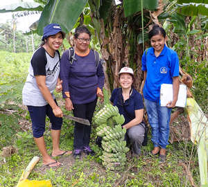 Samba Survey Team