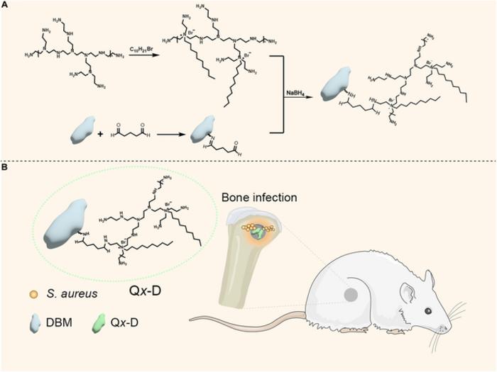 Cationized Decalcified Bone Matrix for Infected Bone Defect Treatment