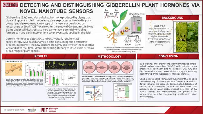 SMART infographic: DiSTAP press release on nanosensors for detection of gibberellins