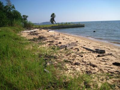 Belleair Boulevard on Dauphin Island, Ala., in September 2010