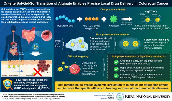 A new drug delivery strategy for precise local therapy against colorectal cancer