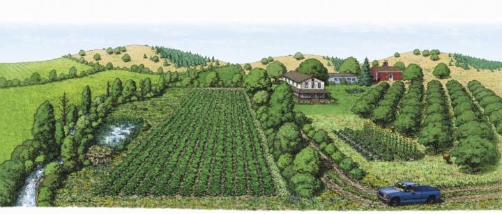 Diversified Farmland