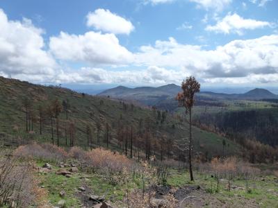 New Mexico's Las Conchas Fire -- Looking East