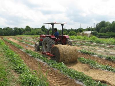 New Bale Unroller Design Deemed Effective