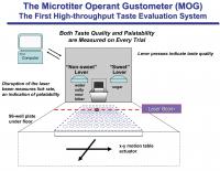 Schematic Diagram of the Microtiter Operant Gustometer