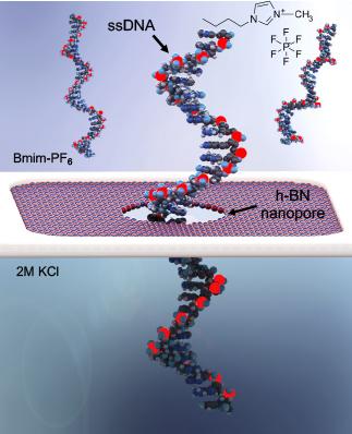 Nanopore Illustration