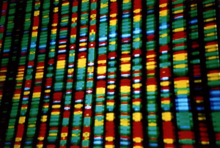 New Drugs More Likely to Be Approved if Backed up by Genetics