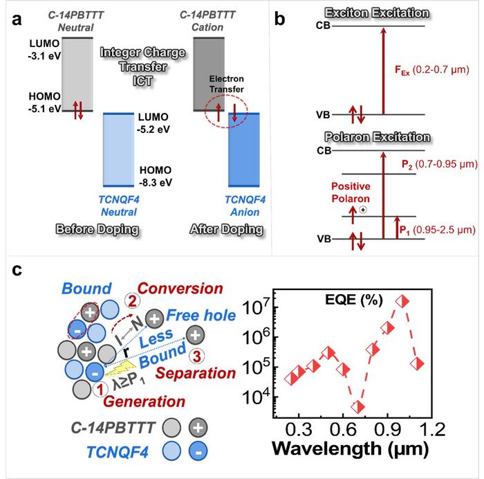 Mechanism of integer charge transfer (ICT) mediated doping and Polaron-Assisted Near-Infrared Photodetection