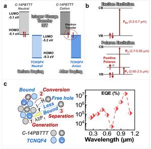 Mechanism of integer charge transfer (ICT) mediated doping and Polaron-Assisted Near-Infrared Photodetection