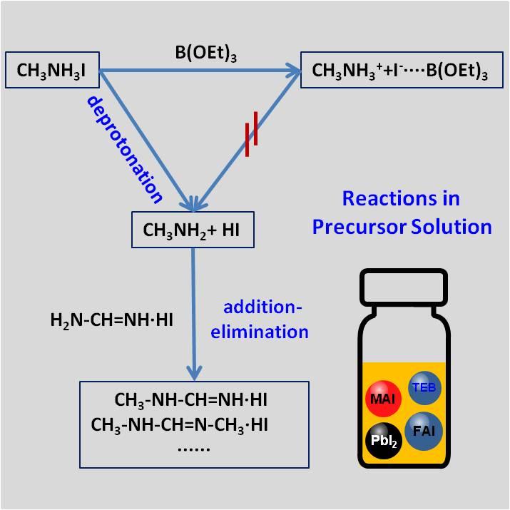 The Clean Stabilizer Triethyl Borate Is Used to Inhibit Side Reactions in the Perovskite Solution