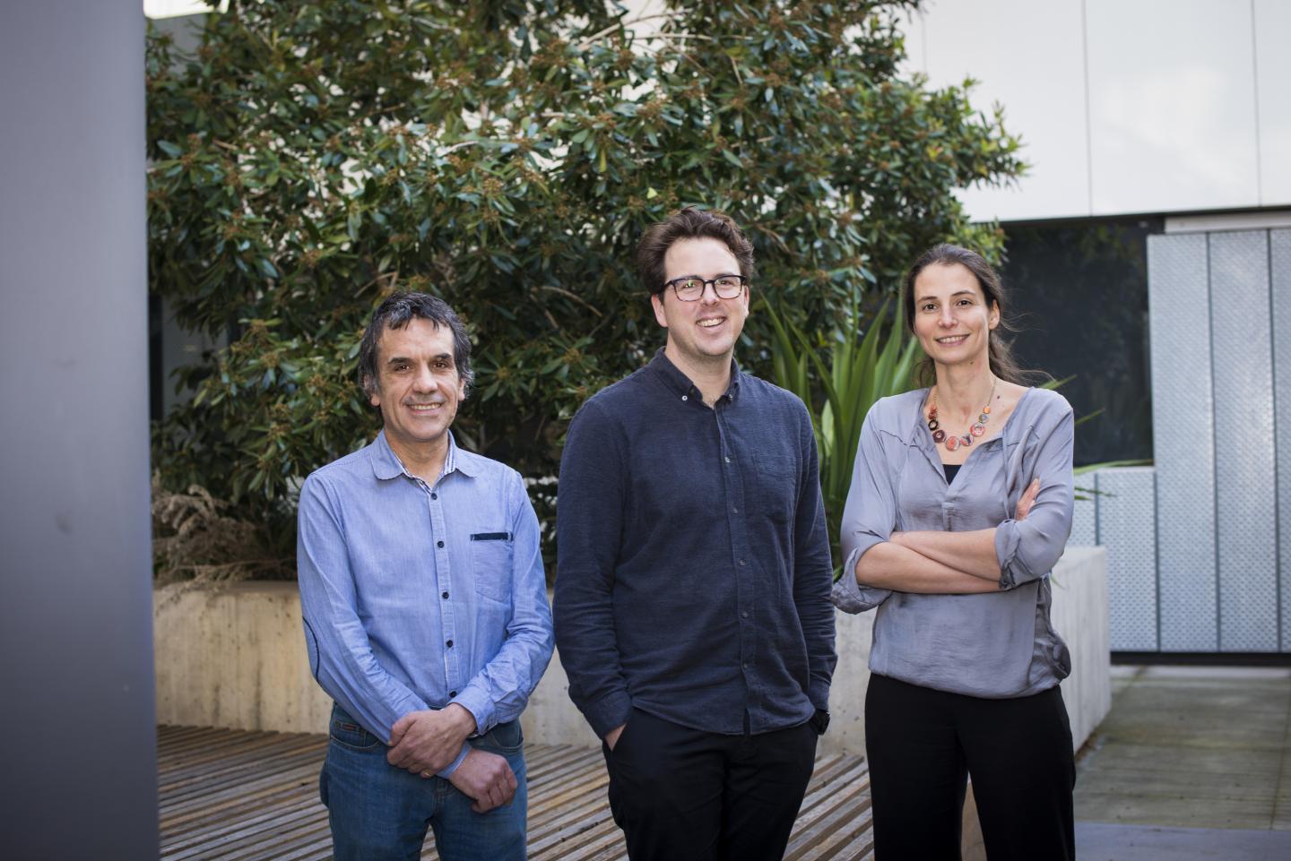 François Vaillant, James Whittle, and Delphine Merino